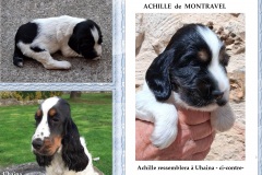 20250826-Achille