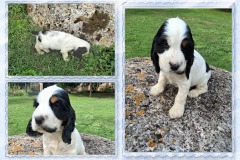 20250912-Athos