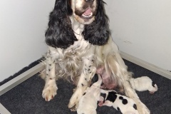 2025  NAISSANCES  UHAINA