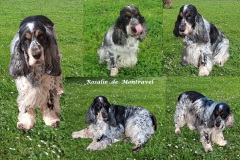 2026-Rosalie-de-Montravel