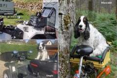 Olympe-Angie-Muscade