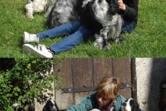 Avec les chiots