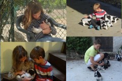 Avec les bébés chiots