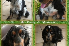 PENNY