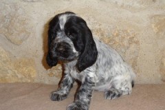 2020-01-11-Okarina-024