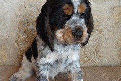 2020-01-11-Okarina-034