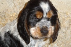 2020-01-11-Okarina-037