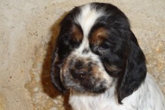 2020-01-11-Okarina-056