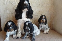 2020-01-11-Okarina-079