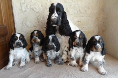 2020-01-11-Okarina-161