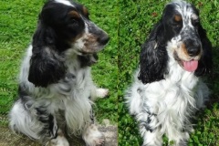 2025 Rosalie-et-Usco 2025 Rosalie-et-Usco