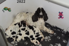 2022-Okarina- et Oslo