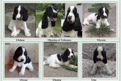 2023- Okarina  et Tolomeo