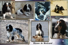 Rezane-