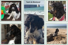 Tashi  -  Bacchus