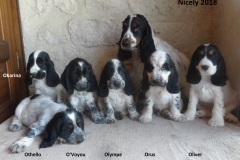 2018 NICELY ET SES CHIOTS