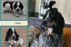 Philaé