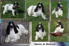 OKARINA