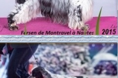 Fersen-2015-2019-Nantes