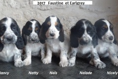 2017 FAUSTINE  et  EARLGREY