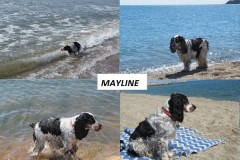 Mayline à la mer.
