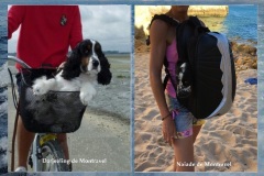 Darjeeling-et-Naiade