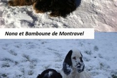 Nona -  Bamboune  Jasmine de Montravel