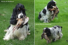 Alexios-et-Moody-Blue