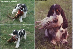 Hello-Ketty-et-Tiffany