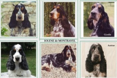 1993-Iolene-de-Montravel.