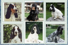 1993 -Négus-de-Montravel