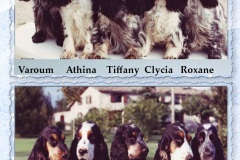 1988  -  1993  A l'Elevage