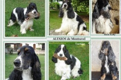 2005  Alexios de Montravel