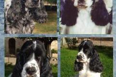 2003-Utoo-de-Montravel