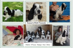 2017 - Sunset D'Hell Nanook