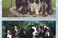 1993  -  1995  A l'élevage