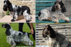 Josiah-Fersen-Moon-Light