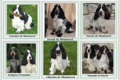 2010  Lignée depuis  Faustine de Montravel