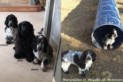 Marjolaine et Miyaké