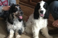 Olaf-et-Orson