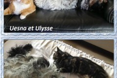 Uesna et Upper