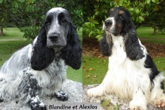 2010  Blandine et Alexios