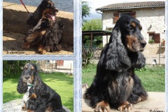 Paloma-Valentino-Anghun