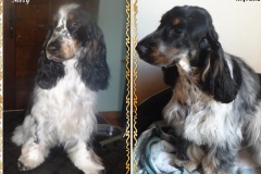 Mély et Myrtille