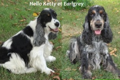 Hello Ketty et Earlgrey