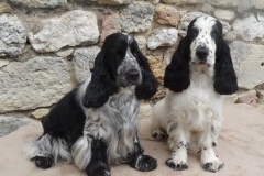 2016-JOSIAH-et-NANOOK