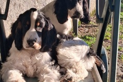 20250203-Vasco-Vahine