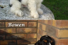 Bowen